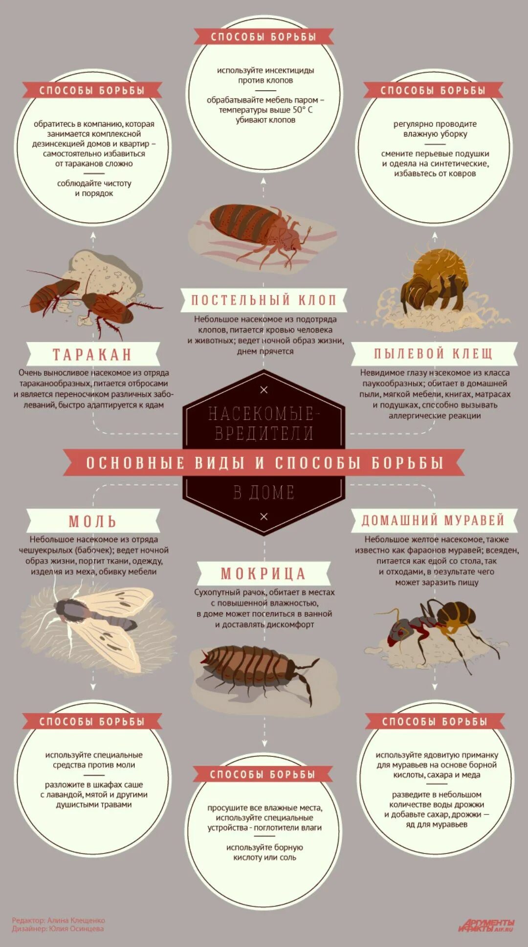 Домашние вредители насекомые. Виды домашних насекомых. Название домашних насекомых. Типа тараканов вредители.