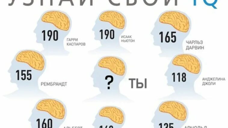 Низкий айкью. IQ нормального человека. Норма IQ для человека. Уровень айкью. Уровень интеллекта IQ таблица.