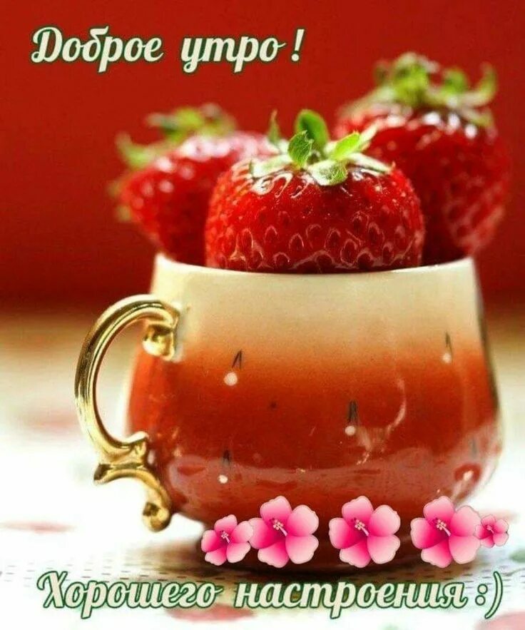 Post #8238 - С Добрым утром Хорошего дня. Открытки и пожелания доброго утра летн