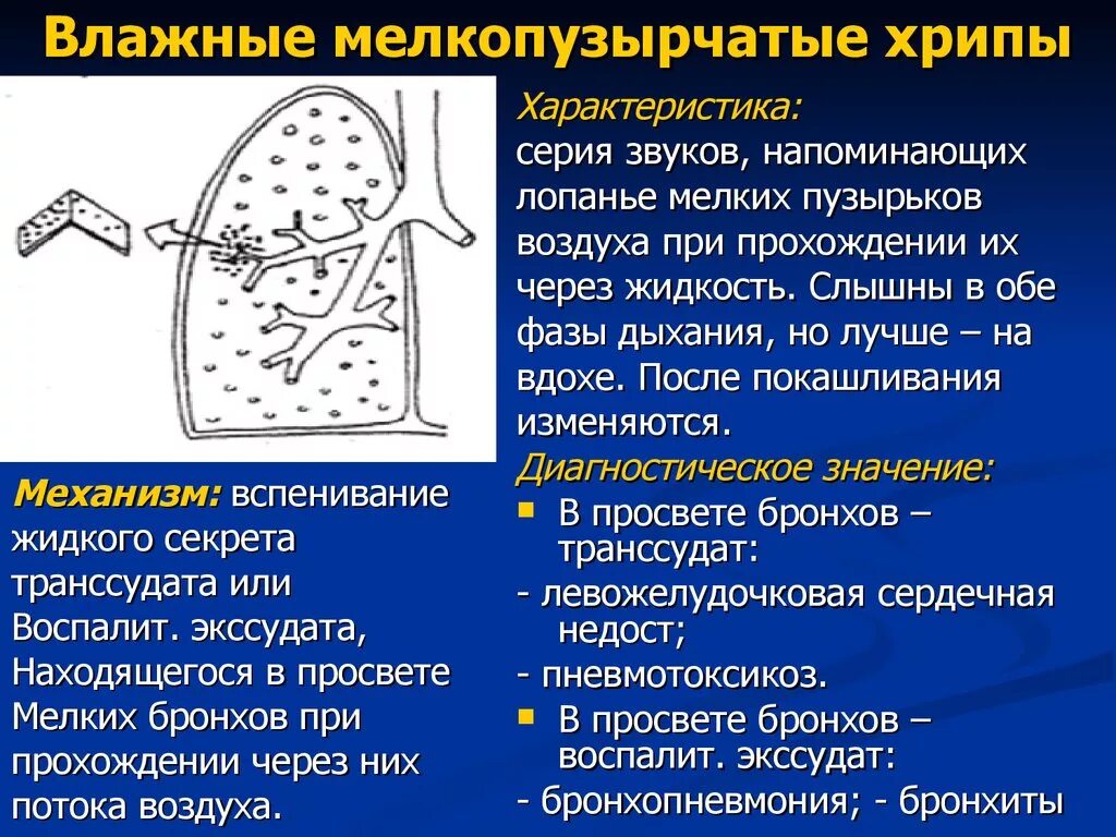 Виды хрипов. Механизм образования мелкопузырчатых хрипов. Влажные хрипы в легких. Мелкопузырчатые хрипы в легких. Влажные хрипы в лёгких.