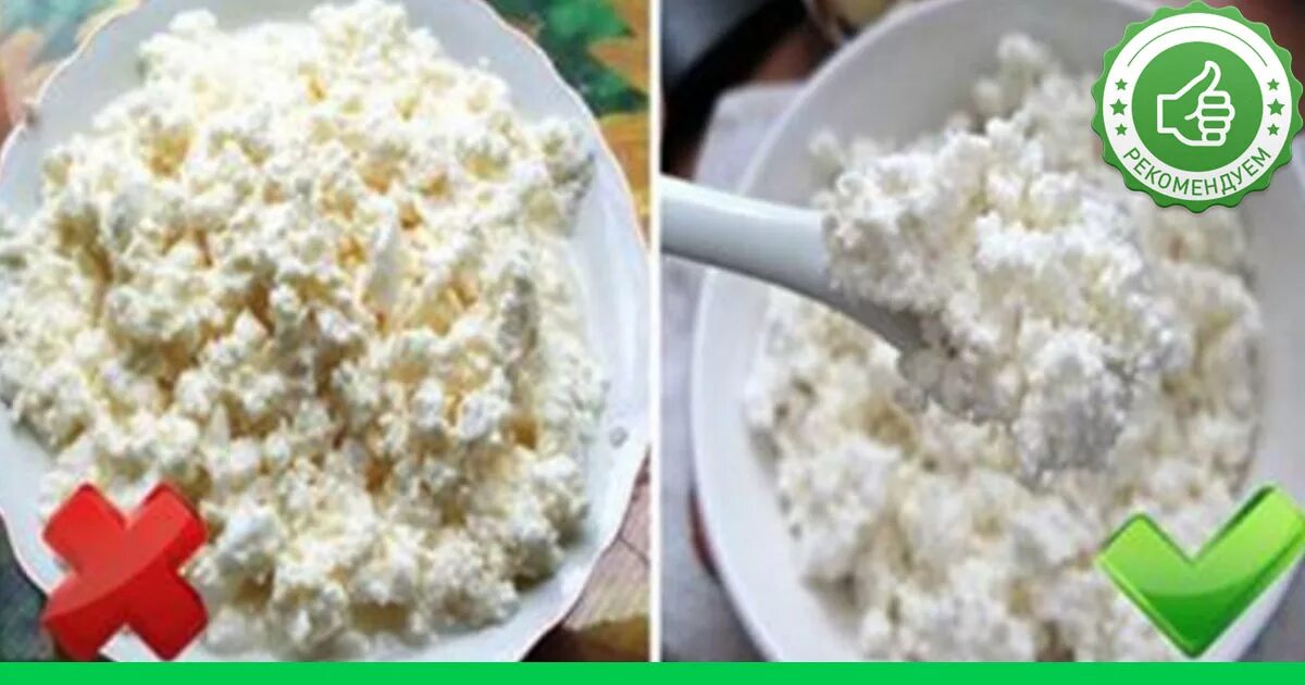 Творог запах. Из прокисшего творога. Творожно манная запеканка. Творог запах. Испорченный творог.