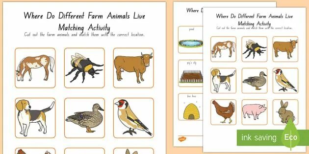 They are looking at the animals. Where do Farm animals Live. Where do animals Live. Where do different Farm animals Live. Animals and where they Live.