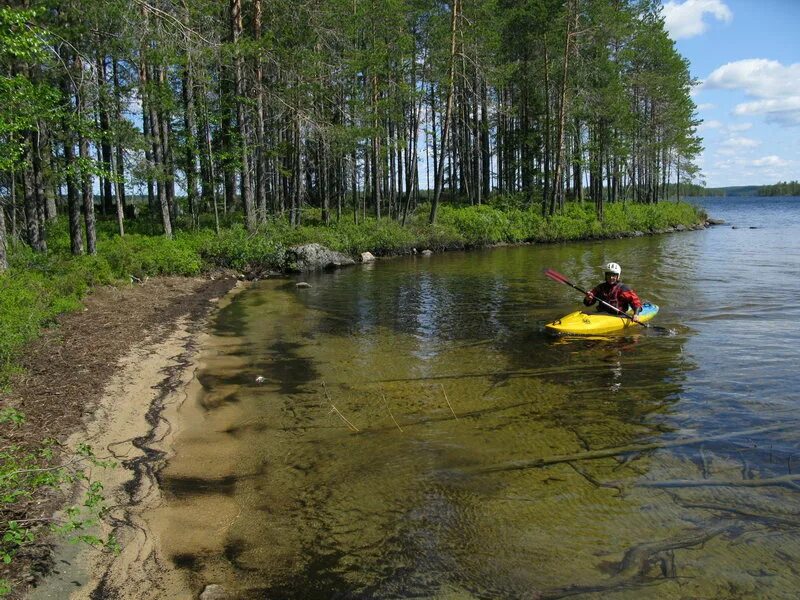 муезерка чирка кемь поход. костомукша муезерка. болота муезерского района. железная дорога кочкома ледмозеро. станция муезерка карелия.