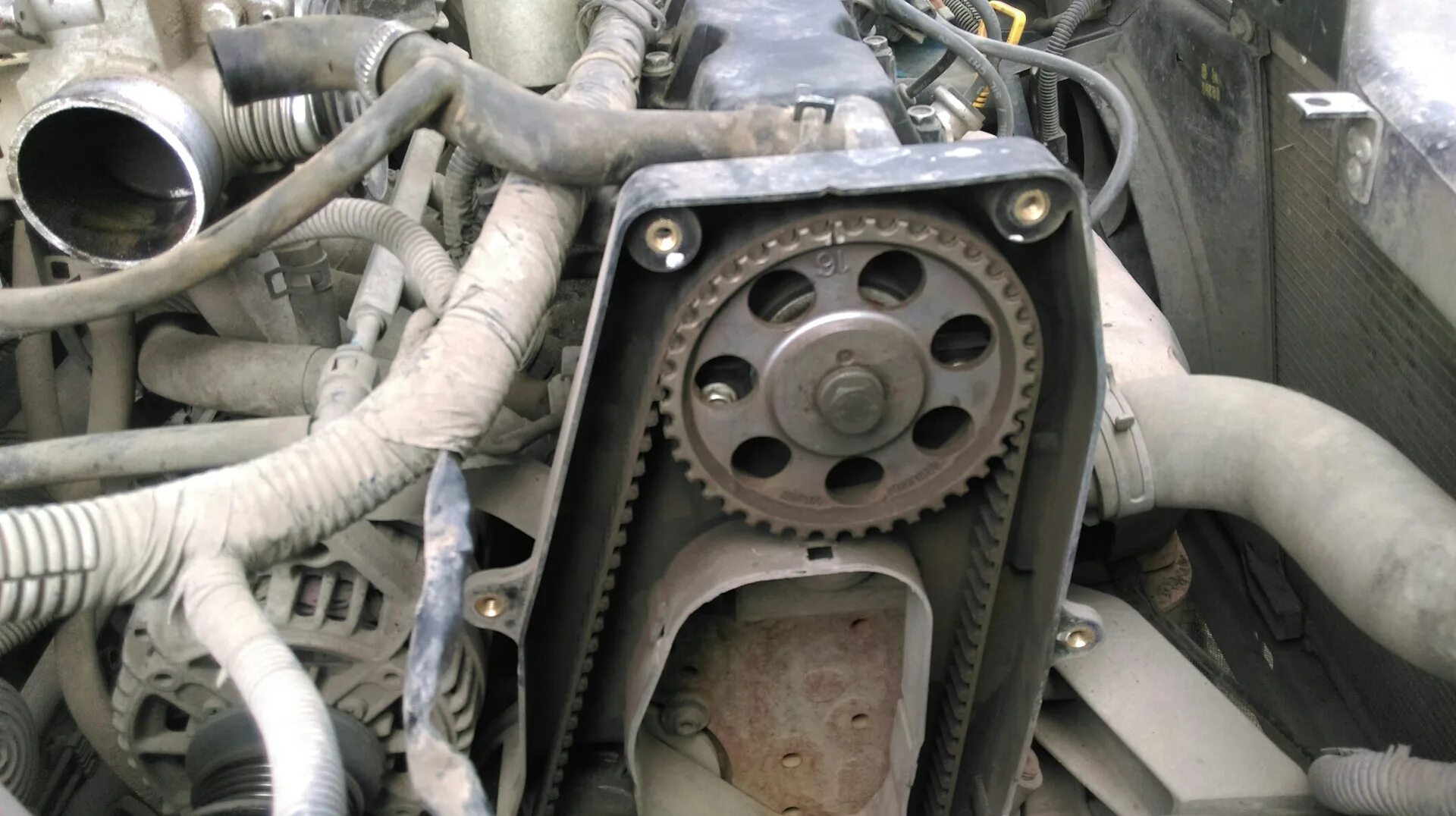 Грм нексия 8кл. Грм на дэу нексия 8 клапанов. Грм на дэу нексия 8 клапанов. Нексия 8 клапанная грм. Грм daewoo nexia 16 клапанов.