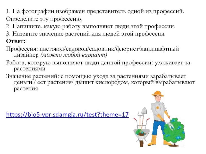 Профессия садовник. Какую работу выполняют люди своей профессии. Какую работу выполняют люди профессии садовник. Чем полезна профессия садовника.