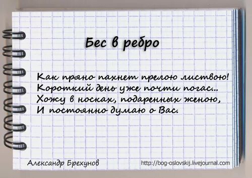 бес в ребро отчаянная домохозяйка. кэтрин мейфеир и робин галлахер. Julie benz desperate housewives. дот джонс отчаянные домохозяйки. бес в ребро отчаянная домохозяйка.