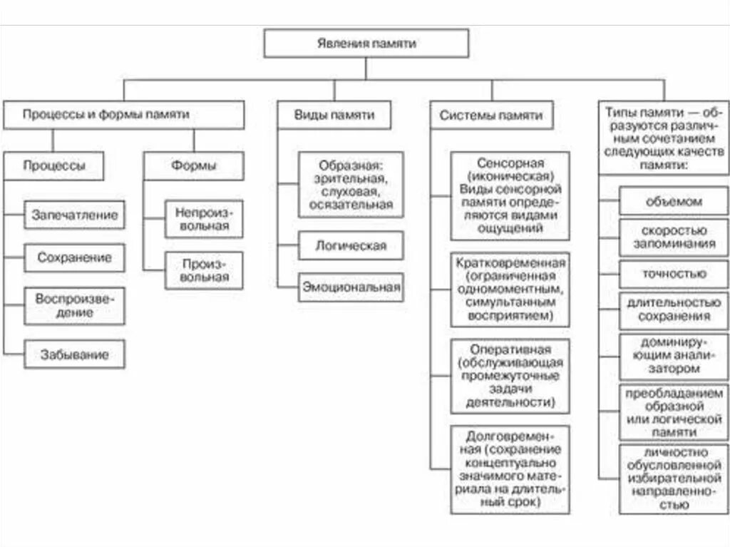 Классификация основных видов памяти таблица. Типы памяти в психологии. Классификация видов памяти схема. Классификация видов памяти в психологии. Чем отличаются виды памяти