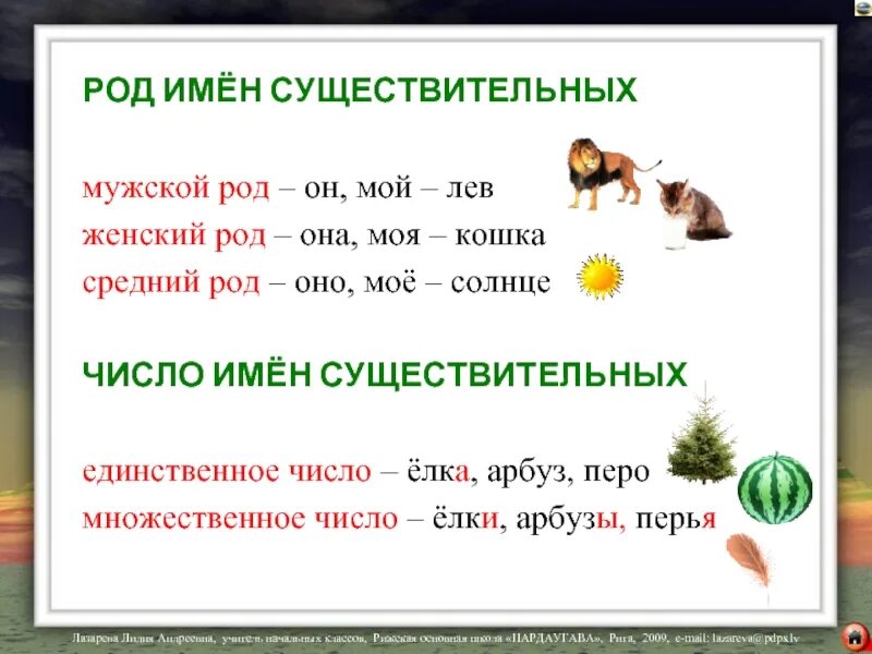 Роды какое число множественное или единственное