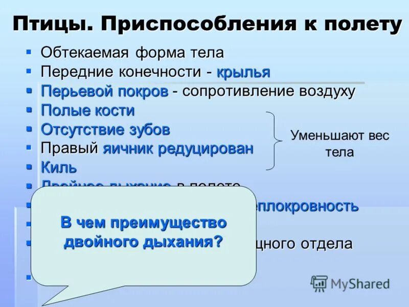 Приспособленность птиц к полету цель. Приспособления к полету. Приспособление птиц к полету задания. Приспособления птиц к полету. Приспособления тела птицы к полету.