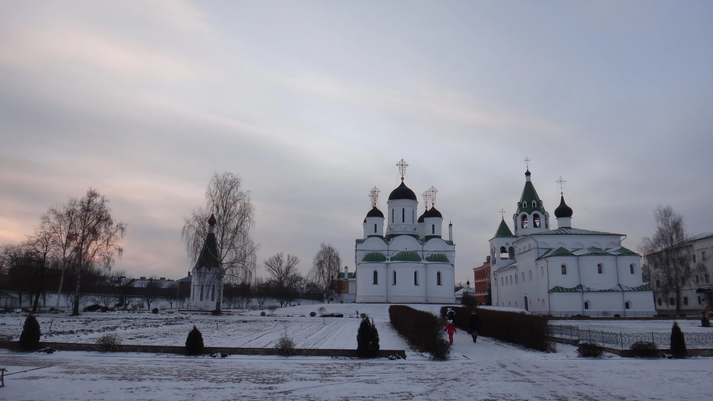 Какая погода владимирской области. Владимирская область село Дмитриевы горы. Муром фото. Остров Муром.