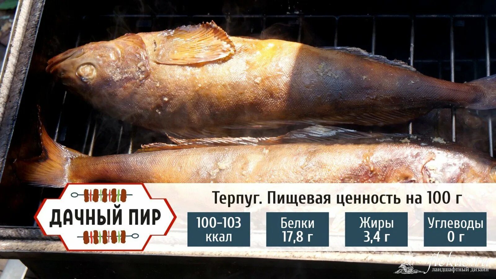 Терпуг польза. Терпуг рыба. терпуг кбжу. терпуг питательная ценность. терпуг калорийность.