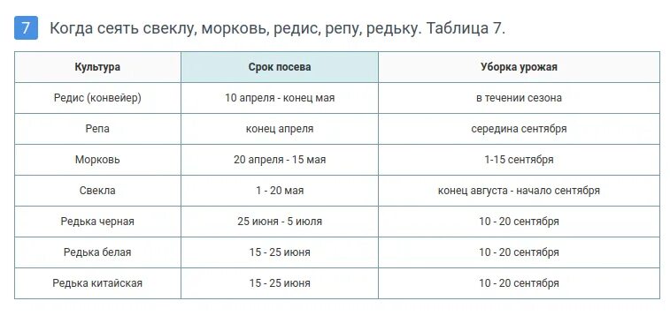 Таблица глубины посева семян. Сроки посева семян моркови в открытый грунт. Семена в открытый грунт. Таблица расстояний посадки овощей. Морковь в бороздах.