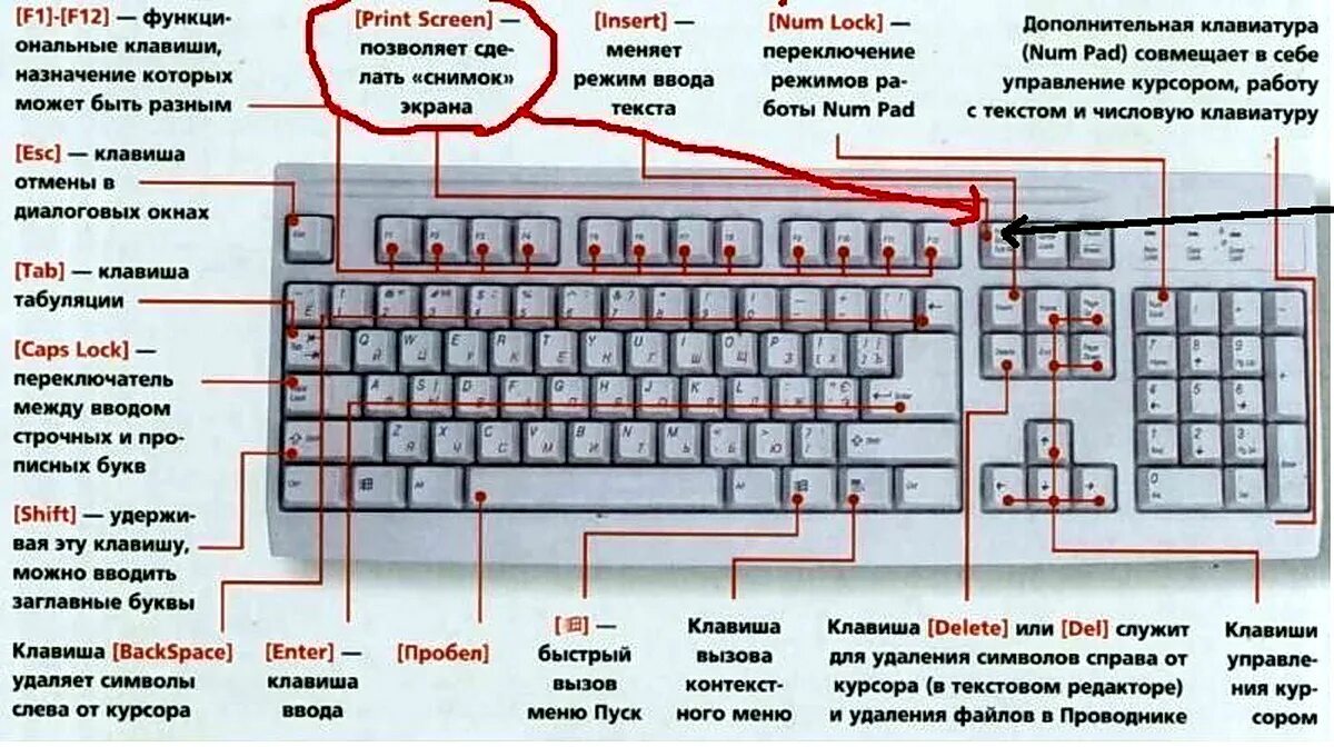 Нужно ввести правильное. Кнопка разблокировки клавиатуры компьютера. Как подключить клавиатуру сбоку ноута. Назначение кнопок компьютерной клавиатуры. Кнопки клавиатуры компьютера Назначение.