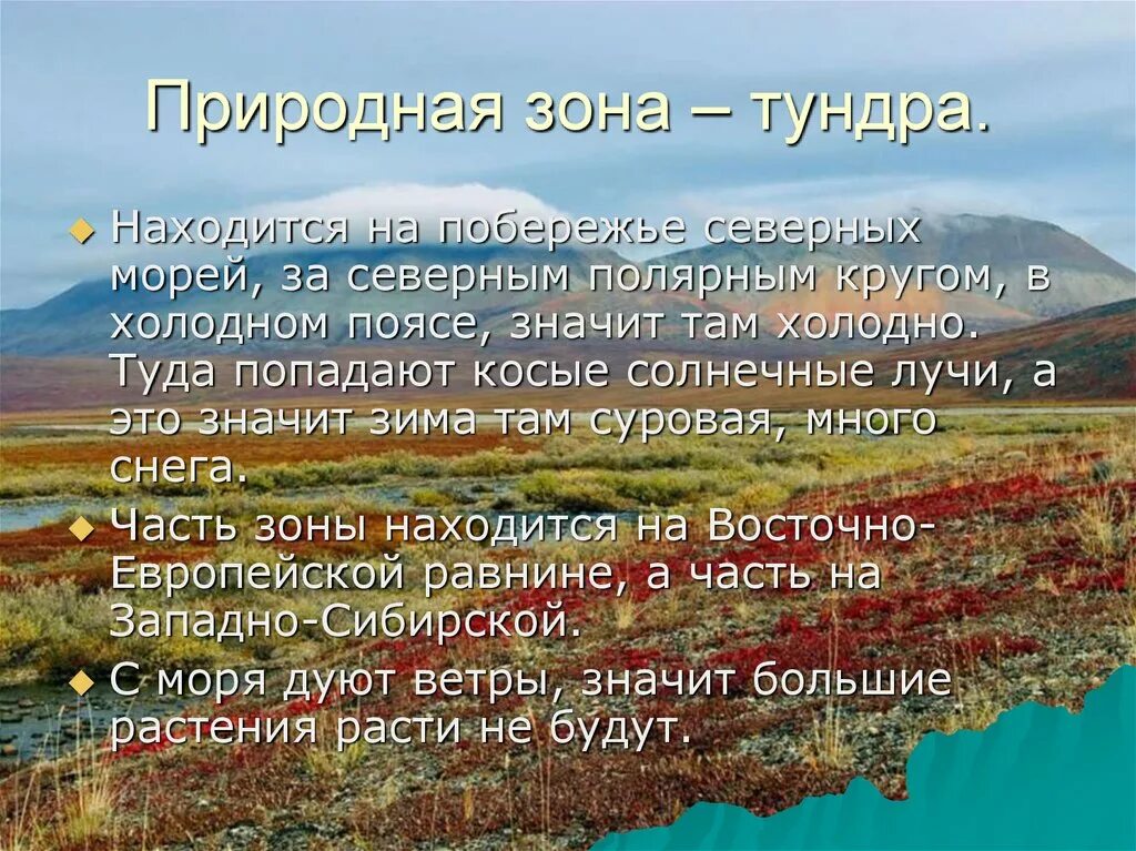 Природная зона россии самая маленькая по занимаемой. Субарктическая тундра природная зона. Климат тундры. Природная зона тундра климат. Презентация на тему природные зоны.