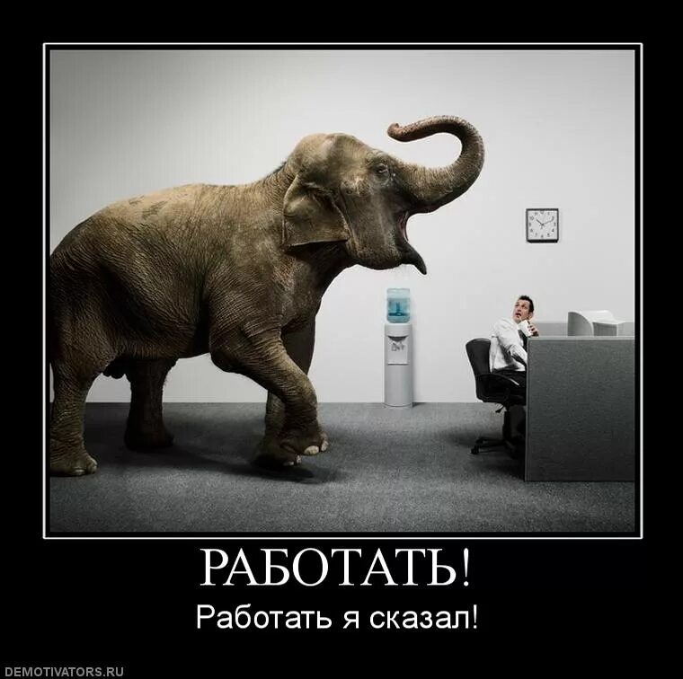 Что сказать то работаем дальше. Надо работать. Работаем лучше. Хорошо не работать картинки. Юмор про работу.