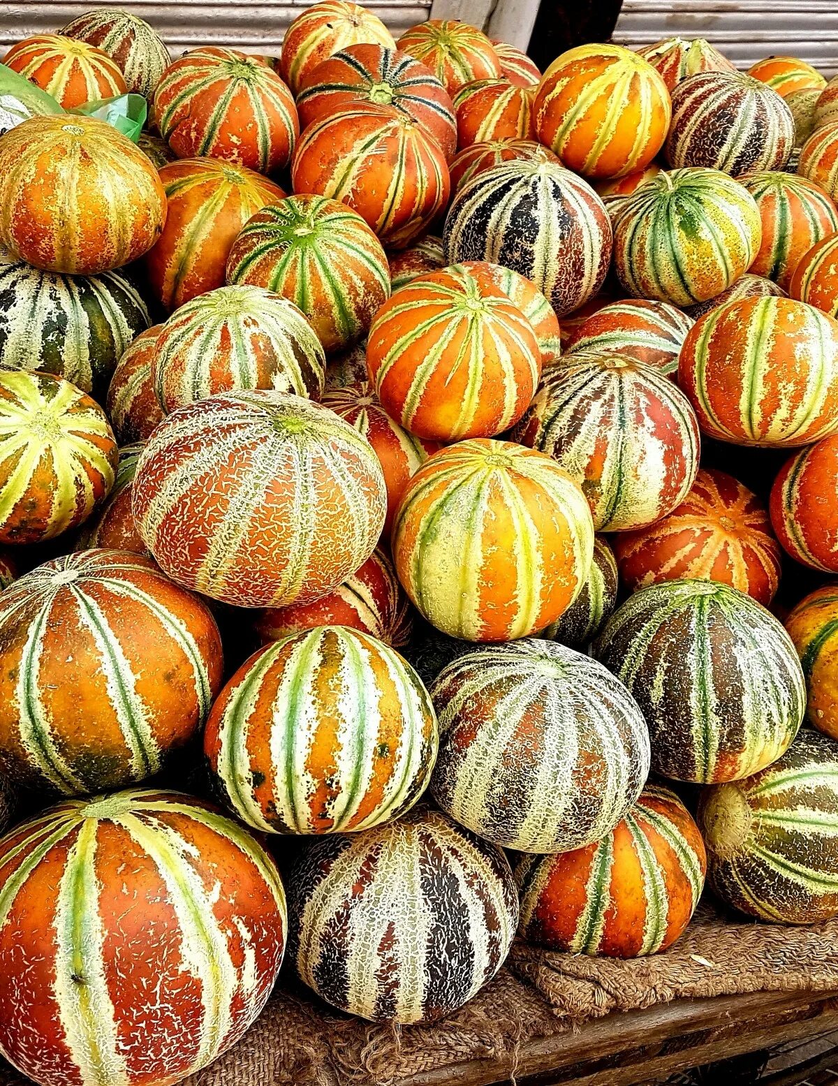 Free Images : food, produce, vegetable, autumn, pumpkin, calabaza, carving, cucu