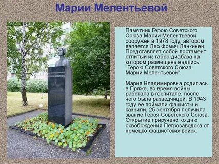 Мелентьева петрозаводск