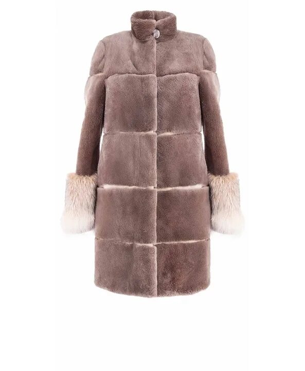 речной бобр красная. бобер с цветами. живого бобра. бобры в татарстане. цвет бобра.