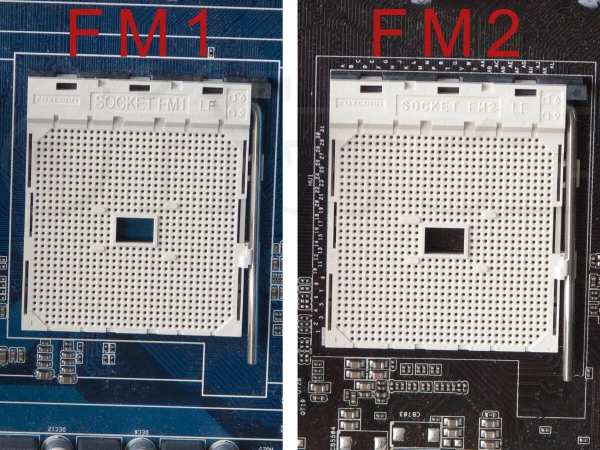 Сокет amd 2. Сокет AMD fm2. Сокеты АМД fm2. Am2 сокет процессоры. Сокет fm1 процессоры.