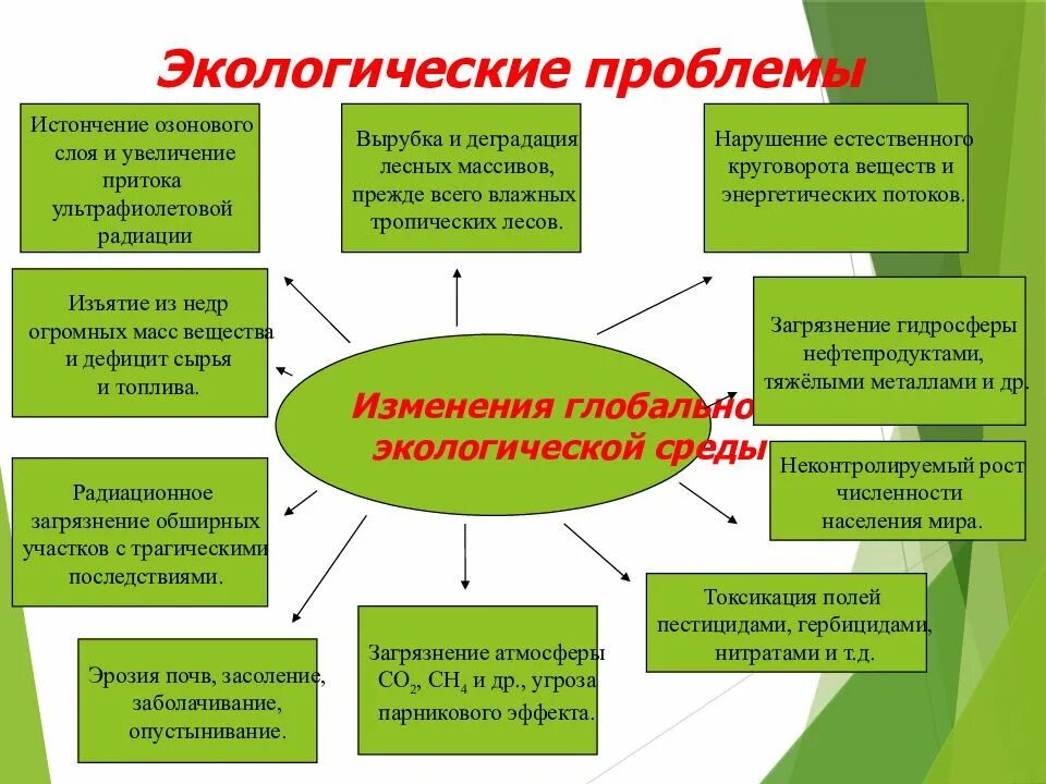 Направление охраны природы. Кластер экологические проблемы. Проблемы связанные с природой. Использование человеком экологические проблемы. Экологические проблемы биология.