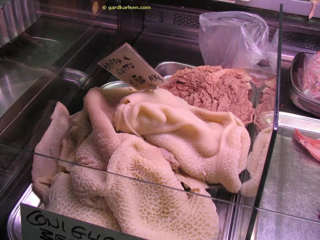 сычужина верблюда. желудок верблюда сычужина. сычужина верблюда купить в аптеке. капсулы верблюжьего молока. сичжина.