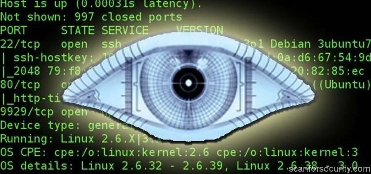 Hosted scan