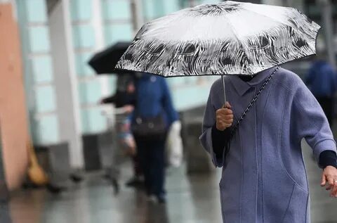 Минуты ожидается дождь