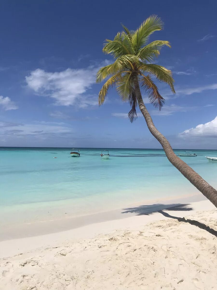 Бассейн карибского моря саона. Пляж с пальмами. Доминикана океан. Остров доминикана дикий. Доминикана лазурный берег.