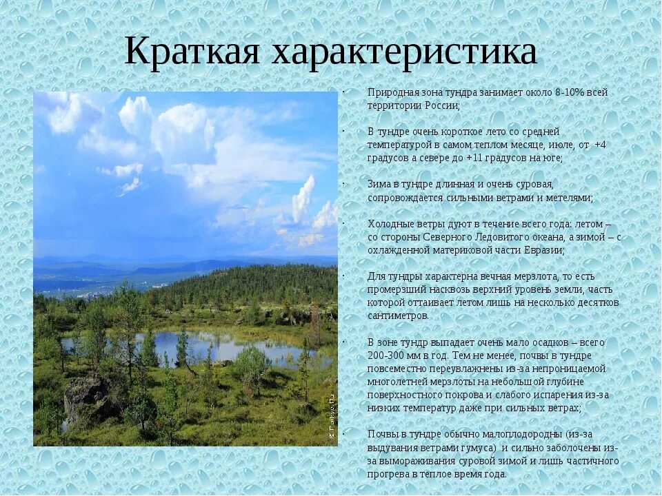 Условия тундры кратко. Тундра описание природной зоны. Тундра краткая характеристика природной зоны. Характєрістіка тундрв. Охарактеризовать природную зону тундра.