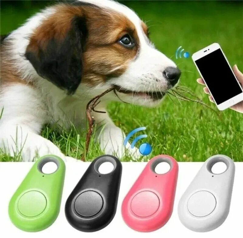 Ошейник pet gps-трекер. Gps трекер tk star 909. Маячок для животных. Трекер-ошейник с gps (для любителей охоты). Трекер для животных pet gps tracker.