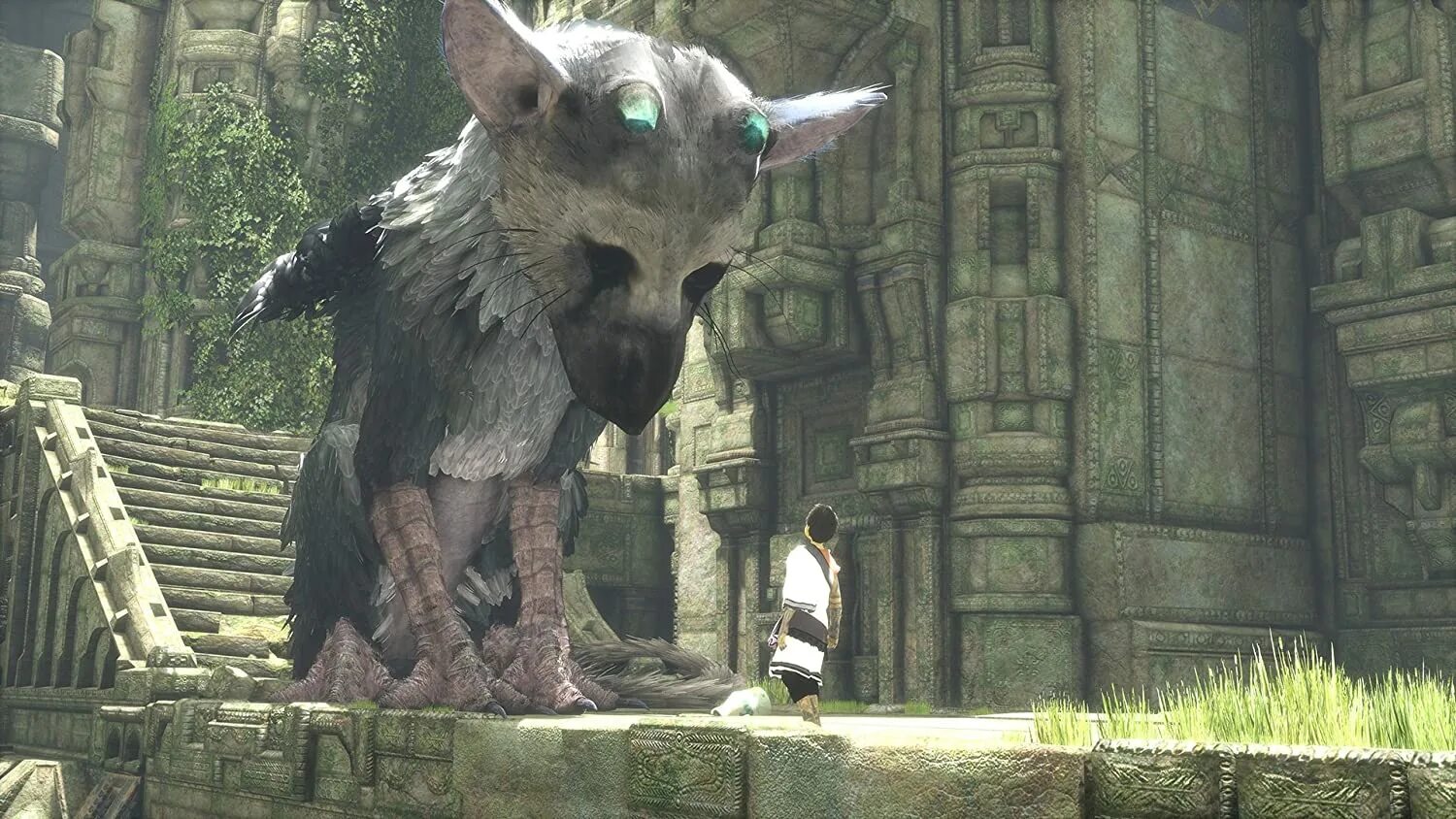 Трико the last Guardian. Игра the last Guardian. The last Guardian ps4. The last Guardian последний хранитель ps4. Guardian ps4