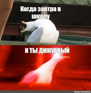 Над вашими