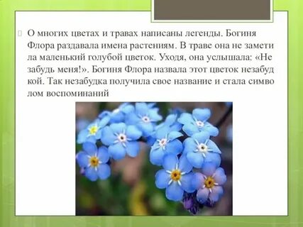 5 имен растений
