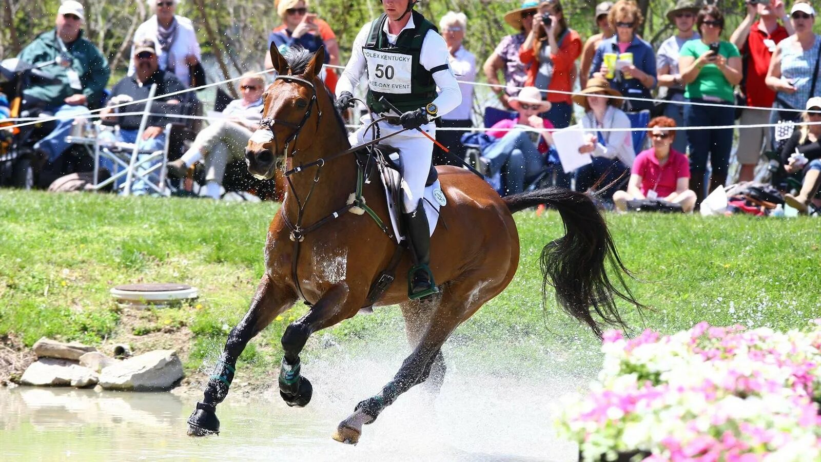 События в играх. Английская чистокровная конкур. Английская чистокровная конкур. Event action. Event action.