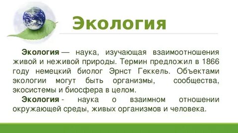 Доклад про экологию 3 класс