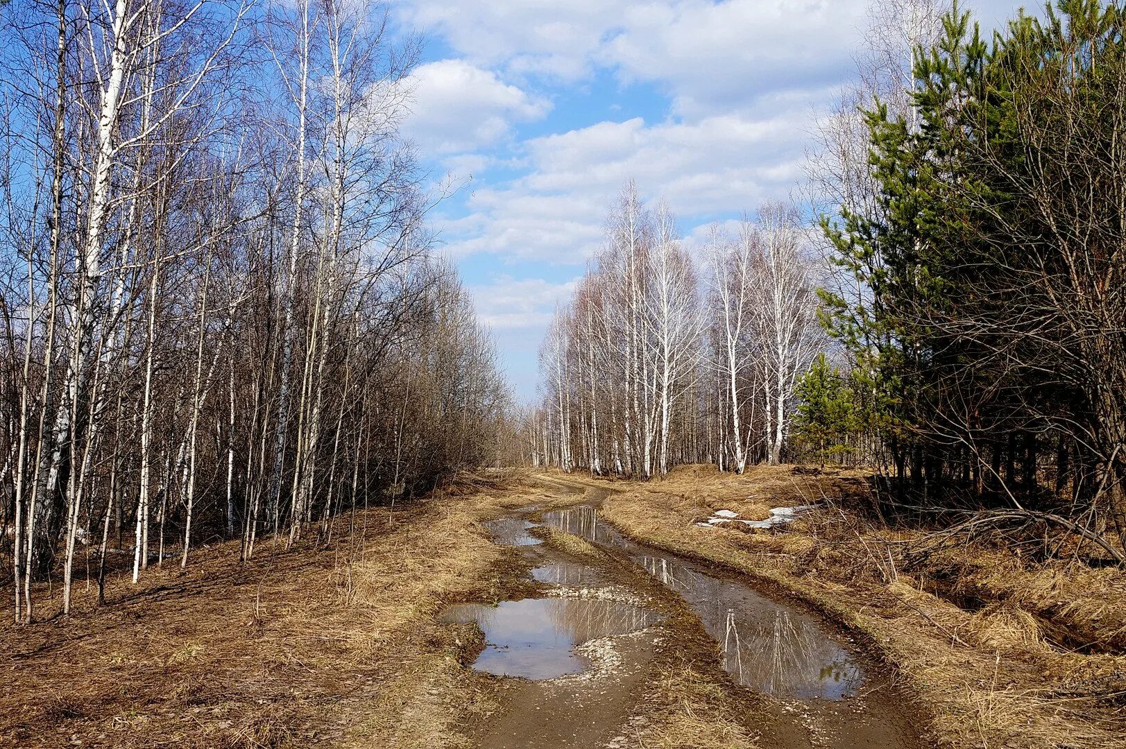 Весенним стоком. Весенняя распутица. Весенняя распутица Вологда. Лес ранней весной.