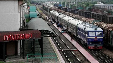 俄 媒.运 输 物 流 走 廊 将 连 接 俄 莫 斯 科 州 和 中 国 陕 西 省. 新 闻 档 案. 俄 媒.运 输 物 流 走 廊 将 连 接...