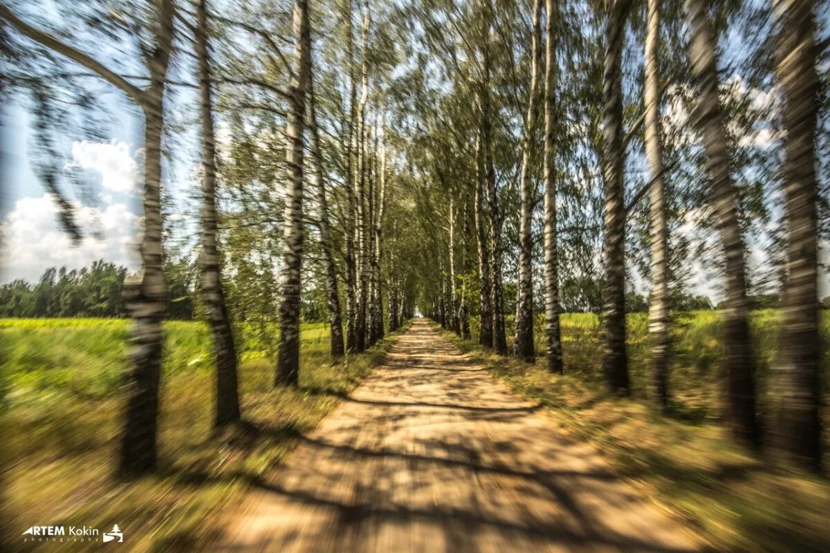 Много аллей