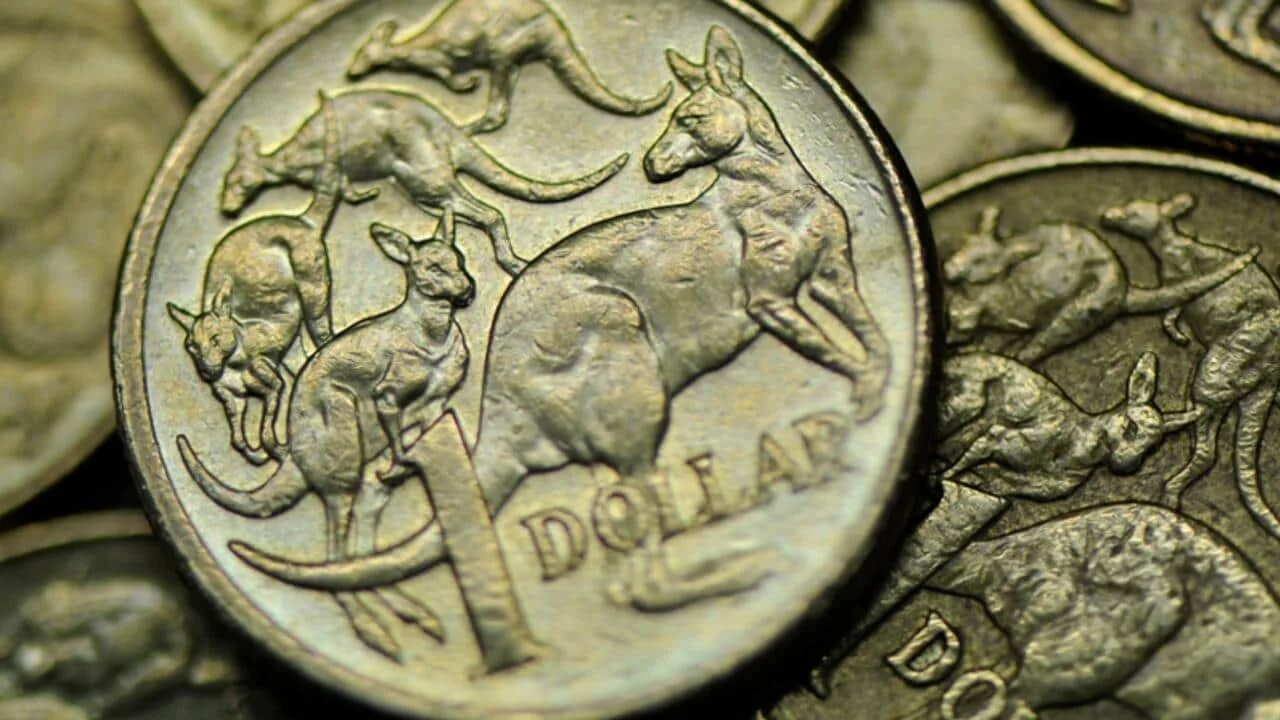 10 центов 2009 фиджи. 50 центов сша 1936 сан диего. Tamburello a1525ap-1bk. 50 cent евро. 50 euro cent 2002 germany.