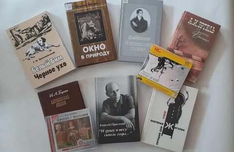 Литературное лицо