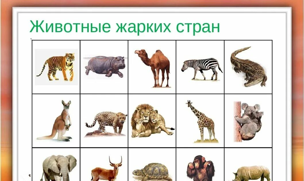 Стихотворение о животных жарких стран для дошкольников. Животные теплых краев. Обитатели саванны. Животные теплых краев. Животные африки для детей.