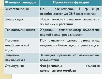 Функции липидов запасающая гормональная ферментативная