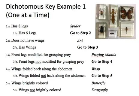 Example key