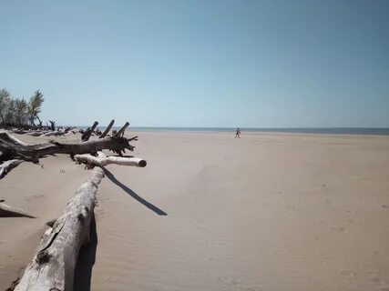 Расположившись на песчаном берегу