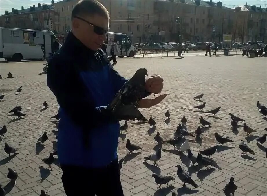 Петухи владимира