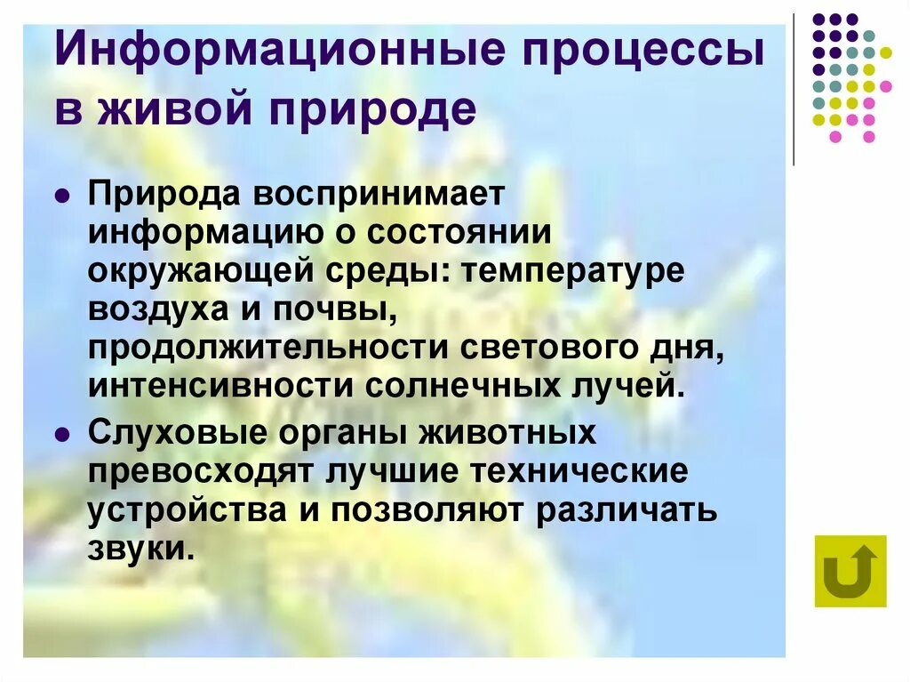 Информационные процессы. Информационные процессы в природе. Информационные процессы в живой природе и технике. Процессы живой природы.