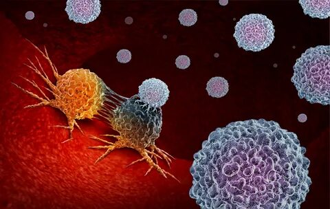 Cancer cell