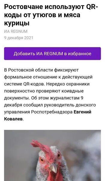 Поиск по кур коду. Кур коды. курица код. qr код курицы. курицы читы.