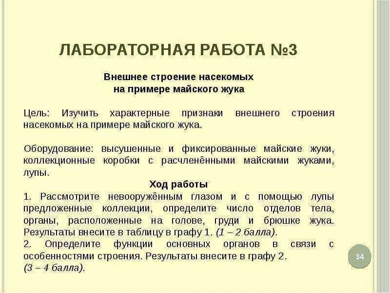 Лабораторная работа строение насекомых. Лабораторная работа внешнее строение насекомого. лаб раб внешнее строение насекомого. лабораторная работа изучение внешнего строения насекомых. строение майского жука лабораторная.