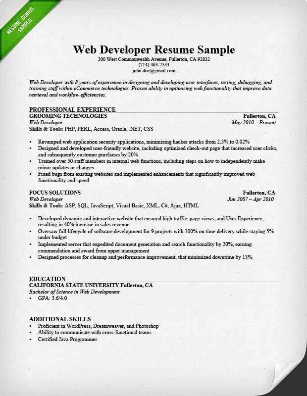 Java разработчик резюме. Web developer resume example. резюме веб разработчика. software developer resume. resume for developers.